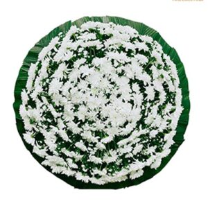 COROA (B) SIMPLES BRANCO