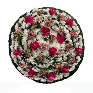 COROA(B) PREMIUM COR DE ROSA